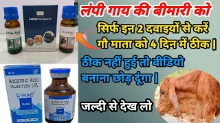 लंपी गाय की खतरनाक बीमारी को ठीक करें सिर्फ 4 दिन में | lumpy skin disease | लंपी वायरस की दवाई |