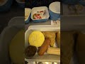 Economy Class Meal 3 Hour Flight Cairo Dubai On EgyptAir Economy Class Meal 3 Hour Flight Cairo Dubai On EgyptAir