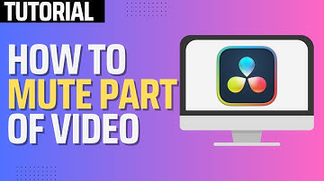 How To Mute Part of Video in Davinci Resolve