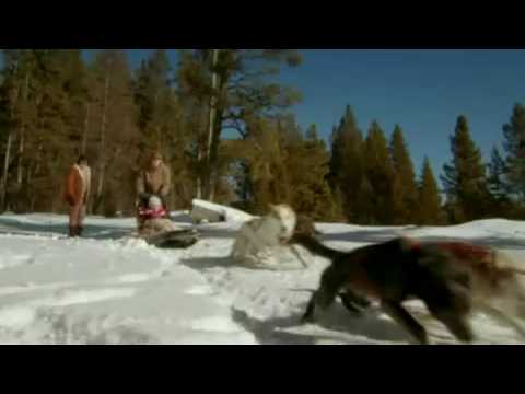 call-of-the-wild-3d-trailer-2009