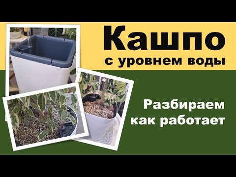 КАШПО\\ ГОРШОК С АВТОПОЛИВОМ для цветов С УРОВНЕМ ВОДЫ. Принцип работы. Что стоит учитывать