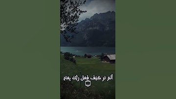 سورة الفجر|القارئ محمد اللحيدان #المصحف