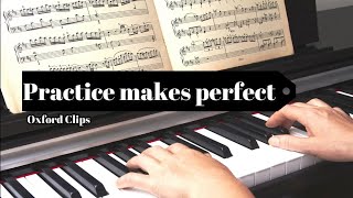 Practice makes perfect (definition & samples from movies & TV series)