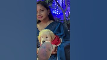 https://studio.youtube.com/channel/UC/collaboration/UCJu__VFaS5hdOtZ7V4HW4pg