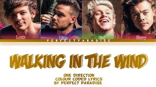 Walking In The Wind  One Direction  Colour Coded S