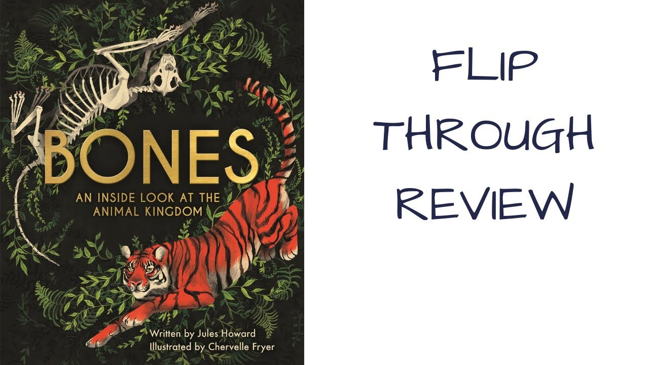 Bones: An Inside Look at the Animal Kingdom - YouTube