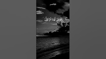 تلاوه جميله ريان المحيسني