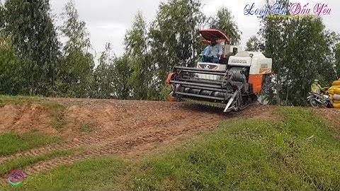 Máy Cắt Lúa Kubota DC70 Chạy Trên Bờ Kênh Cao Lao Đầu Xuống Ruộng | Combine Harvester, LADY82