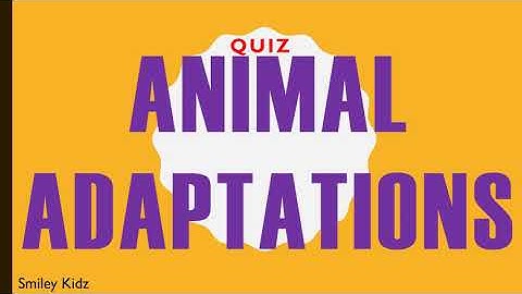 QUIZ ON ANIMAL ADAPTATIONS | Animal Adaptations | class 4 | ncert | cbse | Science Quiz |