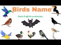Birds Name in English//Birds Name vocabulary//Birds Name learning video for kids
