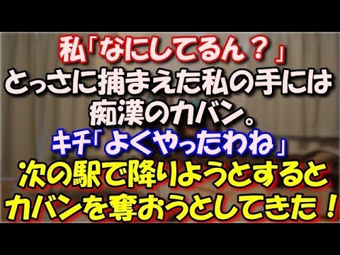 【修羅場】 電車の中で痴漢にあった。私「なにしてるん」とっさに捕まえた私の手には痴漢のカバン。娘をつれた母親「よくやったわね」次の駅で降りようとするとカバンを奪おうとしてきた！ スカッと修羅場ラバンダ