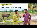 Hamrah jatt dhanaar saan fasi wayo  funnys funny gamoo sindhi sindhifunny