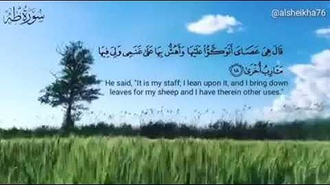 القارئ يوسف السعيد