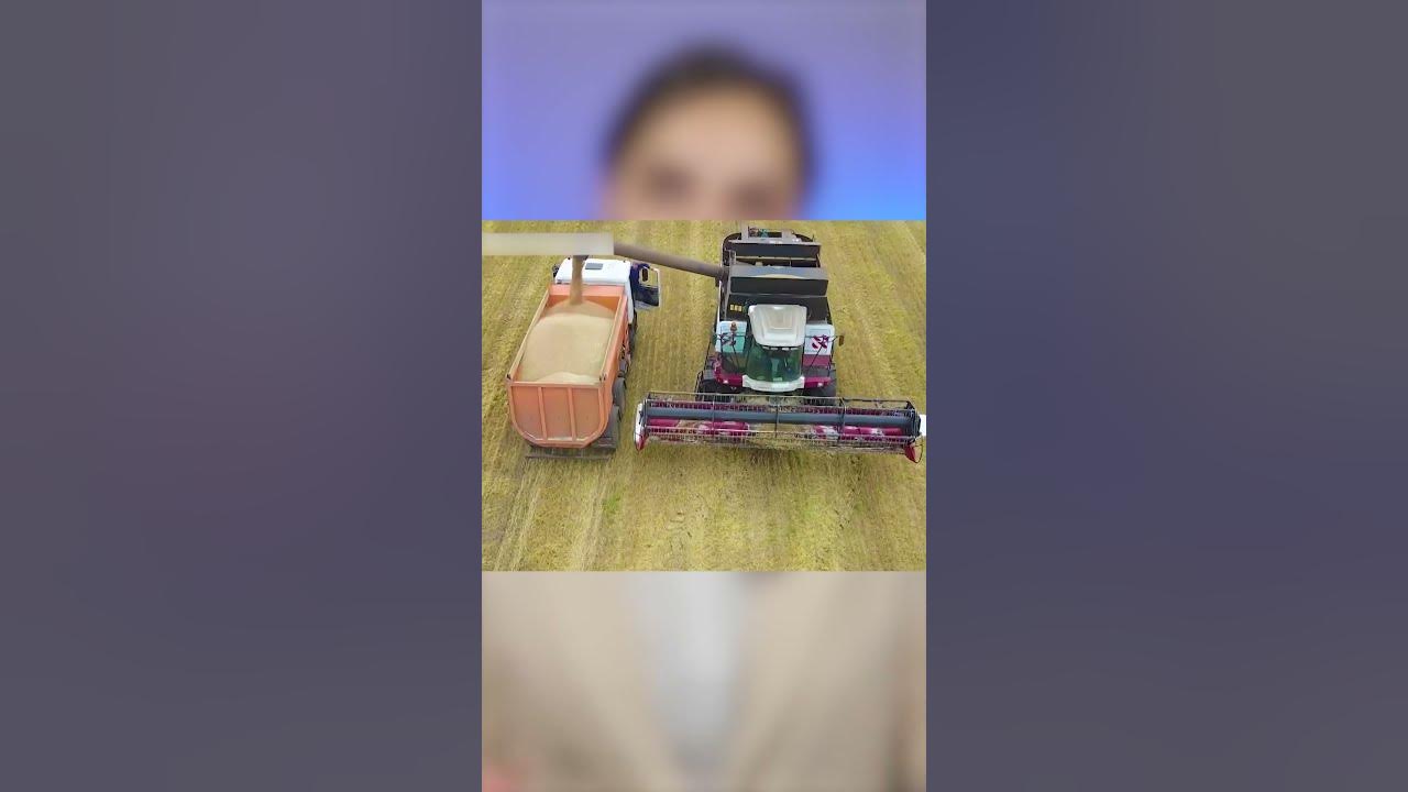 Логистика из Пакистана