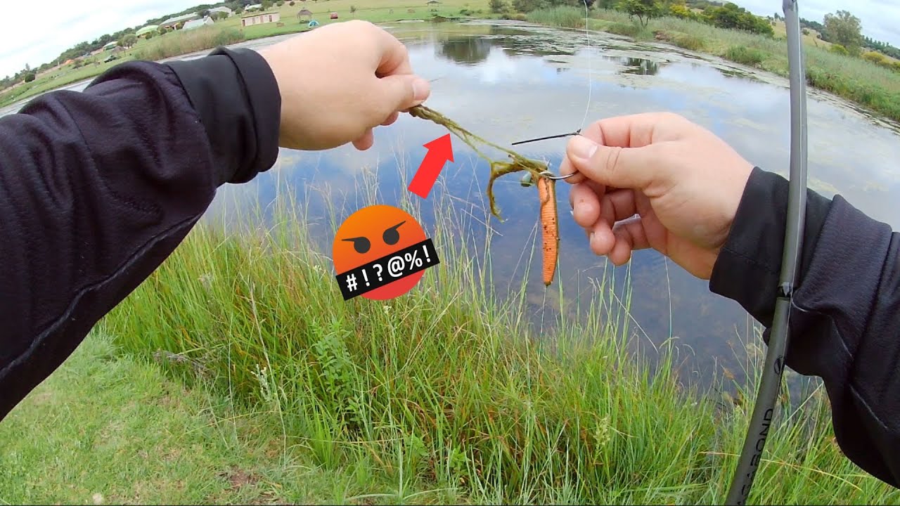 Bass Fishing in Joburg Gnu Valley Farm YouTube