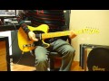 Lee ritenour  rio funk cover