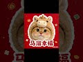 【#雪球日记】天线宝宝小马到! #谁还没个新年小马了 #豆包ai#曼基康矮脚 thumbnail