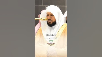 ذالكم الله ربكم خالق كل شيء_سورة غافر _تلاوة مرئية_صلاة العشاء 23 شوال 1446هـ_الشيخ د. ماهر المعيقلي