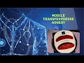 mobile Transferpresse AONESY