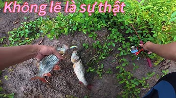 ✅ Đi câu lure ở Sài Gòn, câu con cá mang tên Ngựa Nam | DUY FISHING