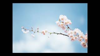 1 سورة الفاتحة | القارئ صالح بن سالم الصاهود