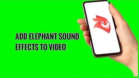 How to Add Elephant Sound Effects to Video on Videoleap