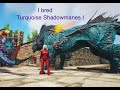 Atterga - 71 Yr Old Gaming Granny - Ark Survival - Artifact of the Shadows &amp; Turquoise Shadowmanes