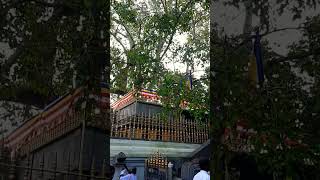 ජය ශ්‍රී මහා බෝධි මළුව | Jaya Sri Maha Bodhiya anuradhapura religious travel srilanka foryou