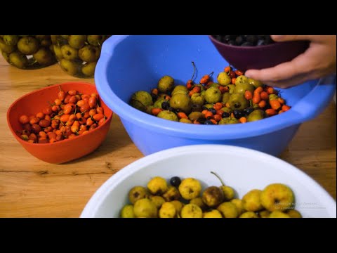 Video: Kako Napraviti Listove Voća