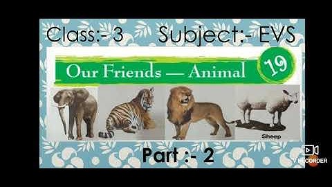 Class:- 3 , Subject:- EVS , Chapter :- 19, Our Friends - Animal. Part:- 2