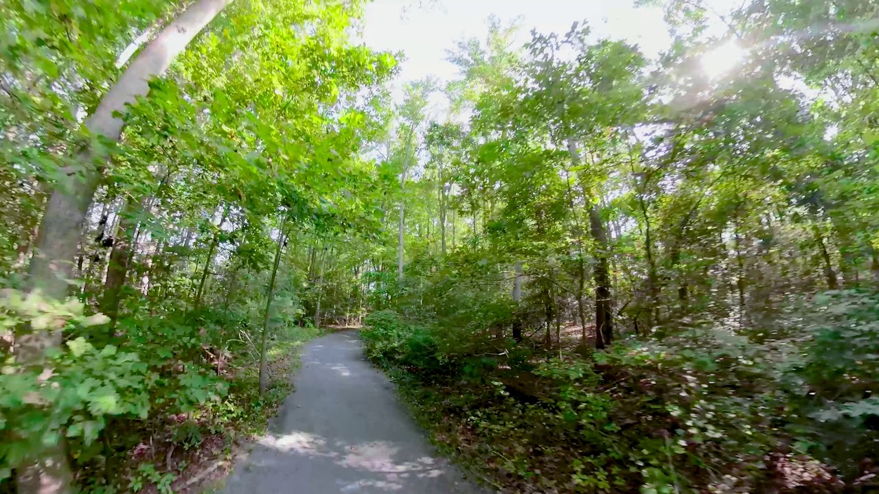 OCEAN PINES NATURE TRAIL WHITEHORSE PARK YouTube