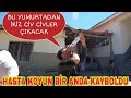 HASTA KOYUN SANKİ KANATLANIP UÇTU!!YUMURTADAN İKİZ CIKACAK