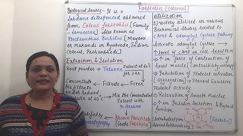 Forskolin = Industrial Production (Isolation Method), Estimation and Utilization (Part 02)