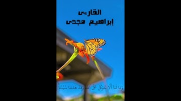 تلاوة قصيرة وَمَا لَنَا أَلَّا نَتَوَكَّلَ عَلَى اللَّهِ وَقَدْ هَدَانَا سُبُلَنَا