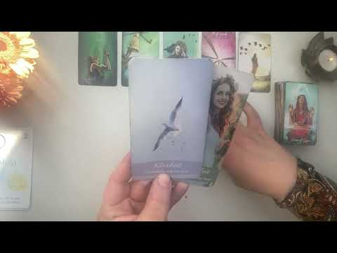 Ein GESCHENK ist auf dem Weg 💝 Gute Nachrichten & Fügungen kommen 🕊️ #Tarot #Orakel #333