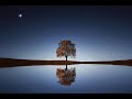 Música para dormir en 5 minutos🌜 Music for sleep 2021🌠 Relaxing Sleep Music. Sonidos para dormir