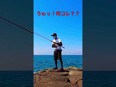 ショアジギングロッドで投げ釣り！新魚種登場！