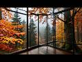 Autumn Rain in the Forest 🍂 Lofi Beats for Relaxation, Reading and Peace