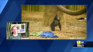 The Maryland Zoo celebrates baby Maisie's first birthday