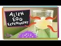 Alien Egg Experiment! #sciencegoals