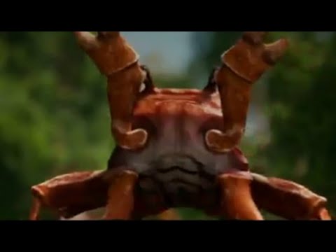 crab-rave-(different-version)