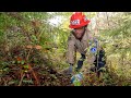 Through Mud, Thorns, &amp; Roots, Fortuna Corpsmembers Restore Headwaters Forest Reserve