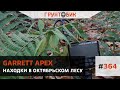 #364 Находки с Garrett Apex в октябрьском лесу