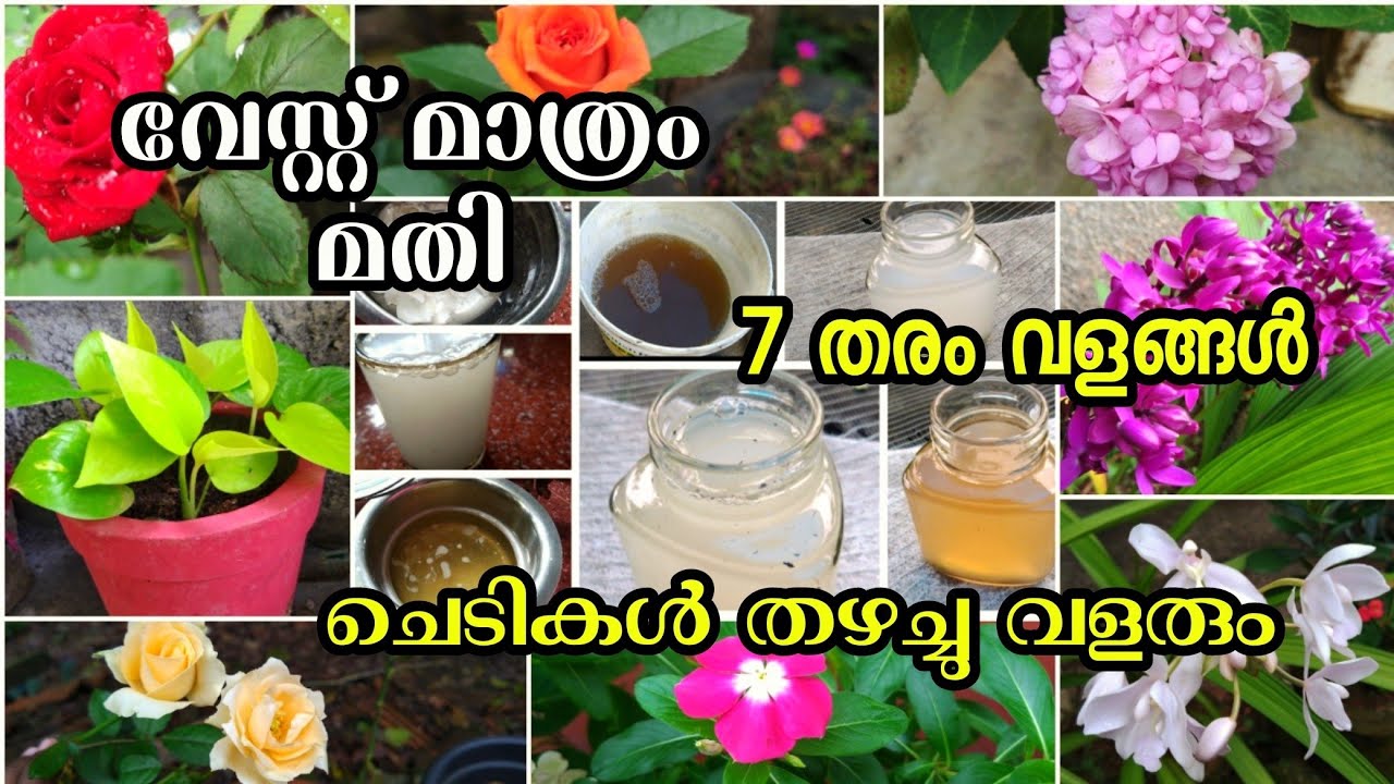 1 രൂപ ചിലവില്ലാതെ വീട്ടിൽ ഉണ്ടാക്കാം 7 തരം വളങ്ങൾ || Homemade Liquid Fertilizers and Specific Plants