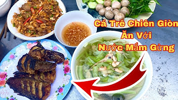 BỮA CƠM QUÊ.Cá Trê Chiên Giòn Ăn Với Nước Mắm Rừng Ngon Hết Xảy.TUẤN BẦU TV