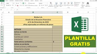 Estado de Situación Financiera paso a paso en Excel (PLANTILLA GRATIS)