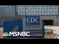 Rachel Maddow Says The CDC Won The Week | The ReidOut | MSNBC