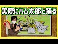 【実写】体感アクションゲーム『ハムちゃんず大集合!ダンスするのだ!走るのだ!』