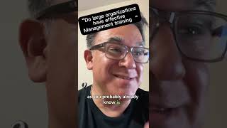 Do large organizations have effective management training programs? In my experience, they do not fo