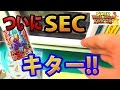 超 DBH大人買いした結果あのカード来た!!!